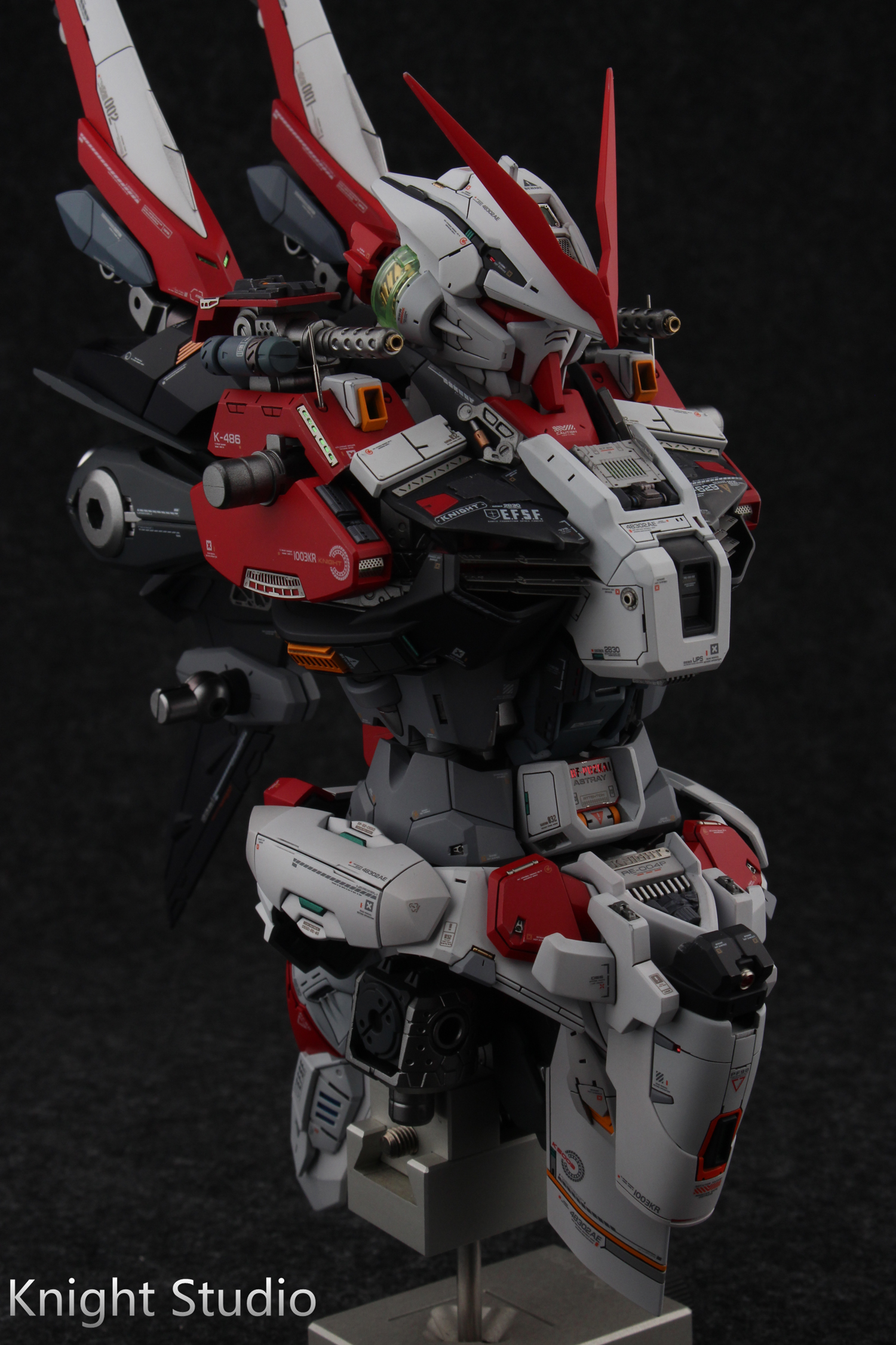 PG Gundam Astray Red Frame